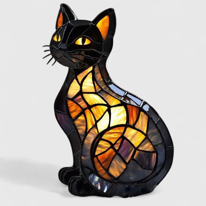 Radiant Midnight Cat