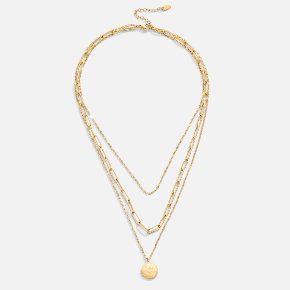 Janie Coin Layered Necklace