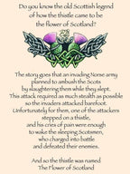 Thorben Thistle Kilt Pin