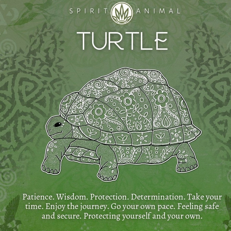 Abalone Turtle Necklace