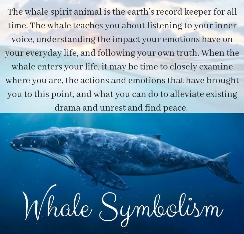 Bohemian Whale Necklace