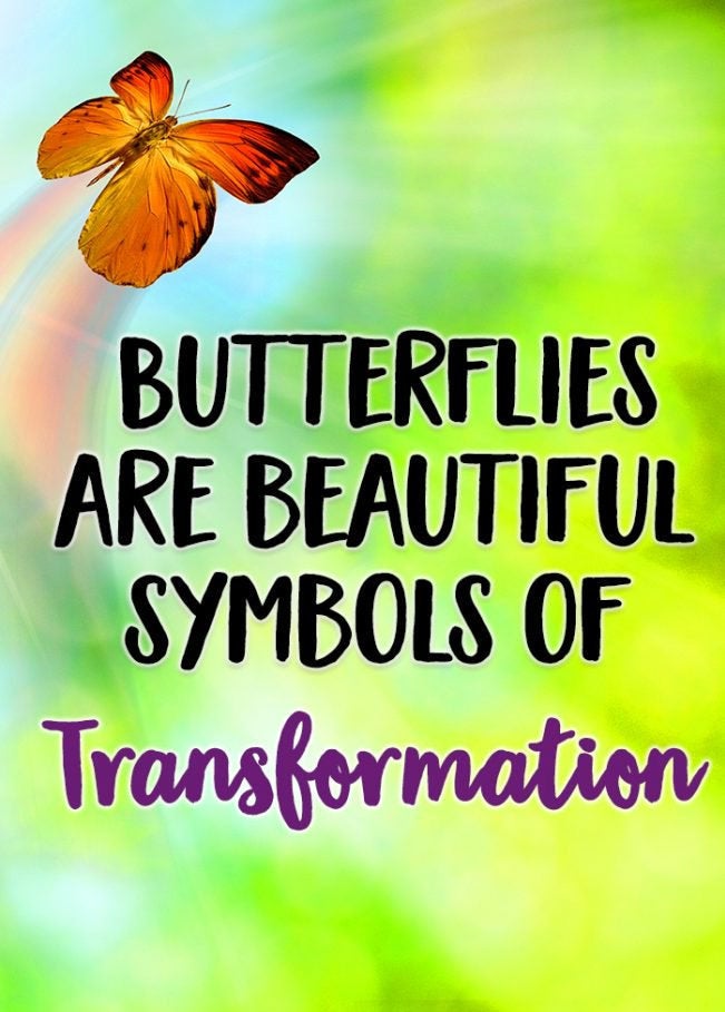 Sara Butterfly Necklace