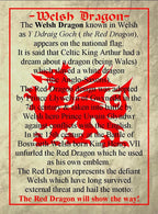 Gwynedd Welsh Dragon Brooch
