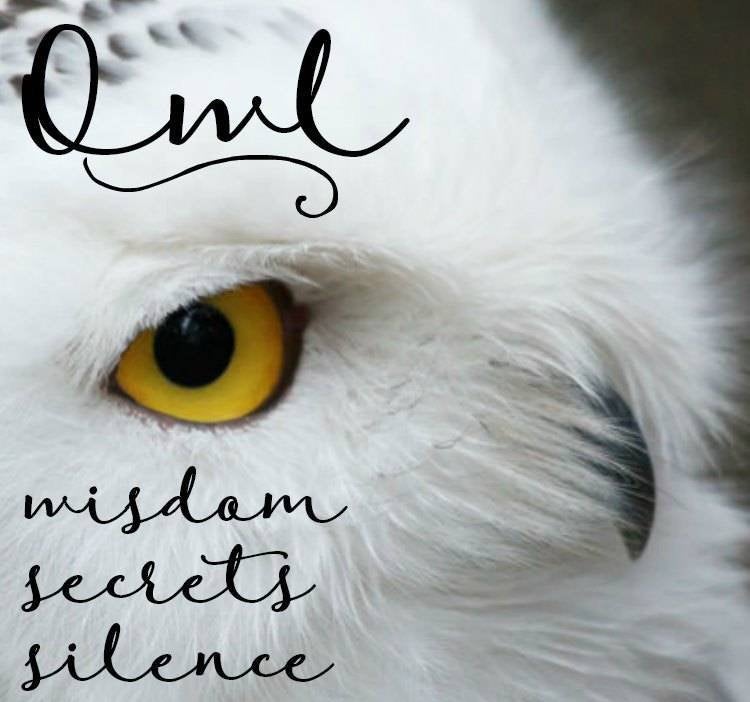 Midnight Flight Owl Necklace