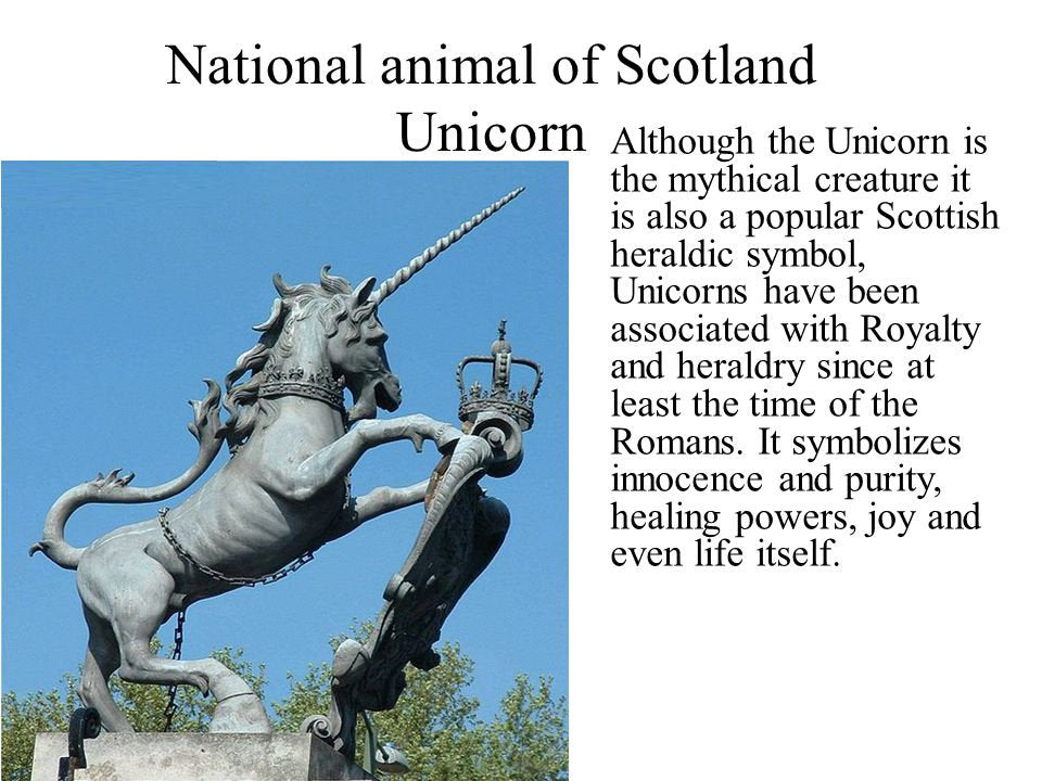 Prancing Unicorn Necklace