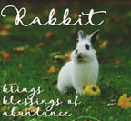 Noble Rabbit Earrings