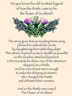 Euan Thistle Sprig Kilt Pin