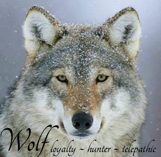 Mac Tíre Wolf Necklace