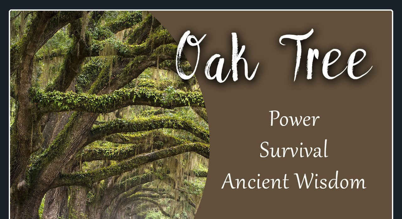 Celtic Oak Leaf Pewter Necklace