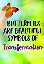 Butterfly Hair Slide