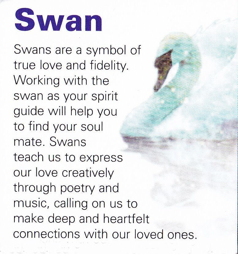 Children of Lir Swan Ring