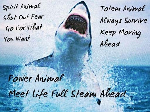 Celtic Shark Necklace