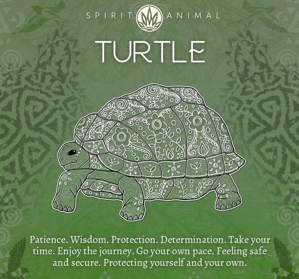 Moonstone Turtle Necklace