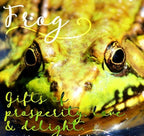 Sásta Frog Earrings