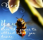 Honey Bee Enamel Brooch