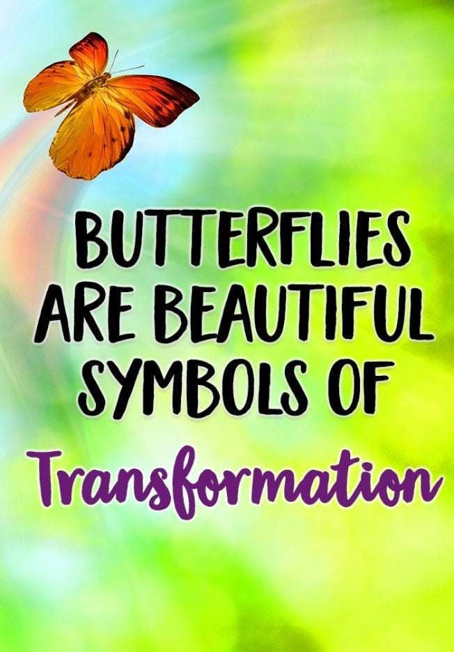 Flutter Celtic Butterfly Earrings