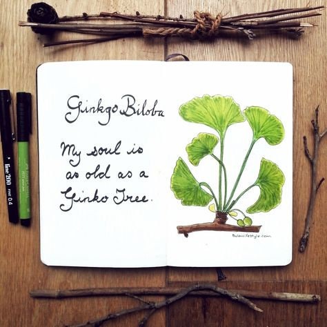 Serene Gingko Necklace