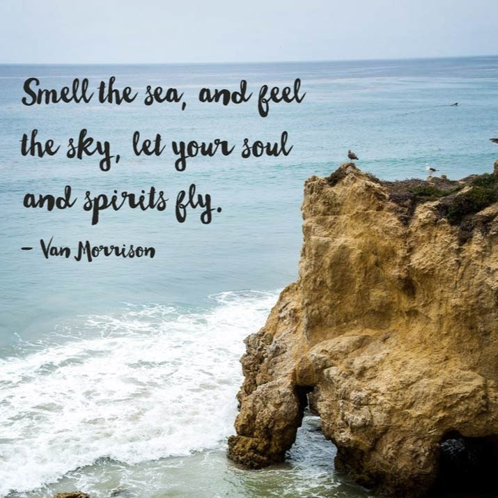 Pacific Wave Earrings