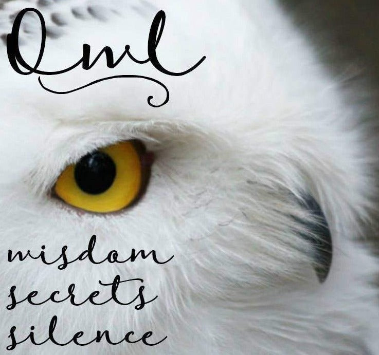 Silver Owl Stud Earrings