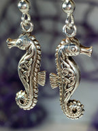 Seadrifter Celtic Seahorse Earrings