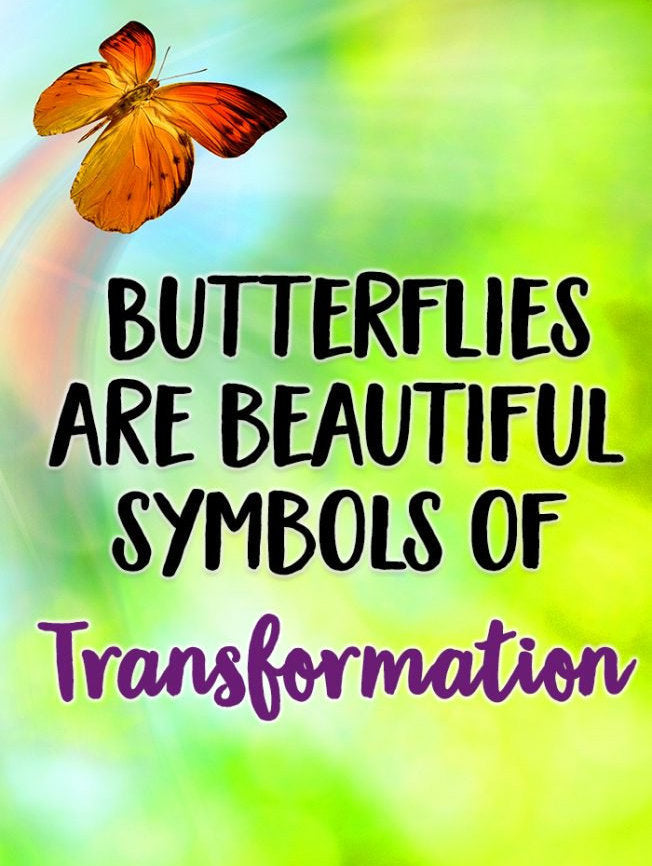 Butterfly Ponytail Holder