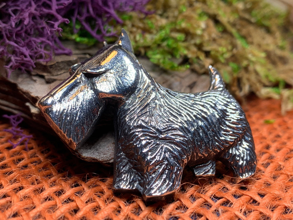 Canis Dog Scottish Brooch