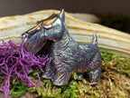Canis Dog Scottish Brooch