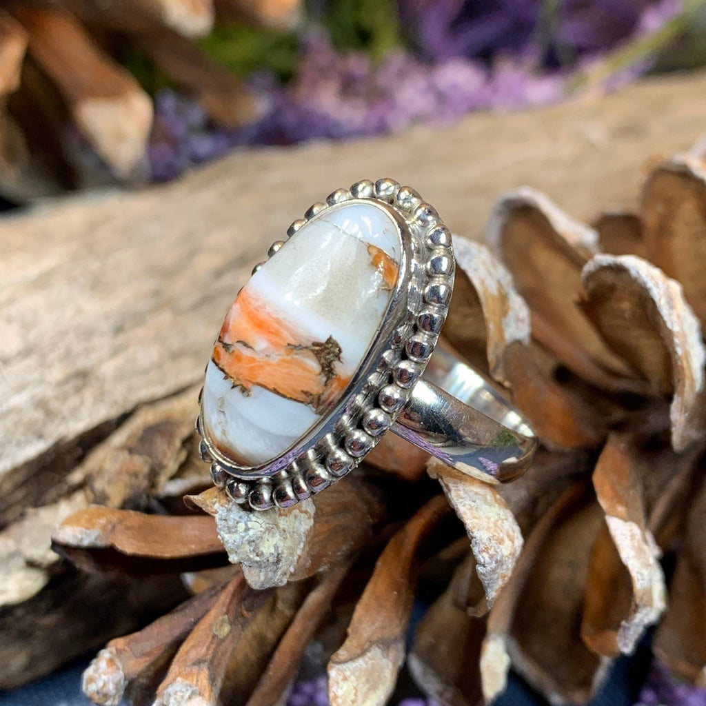 Romelle Spiny Oyster Turquoise Ring