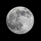 Realistic Moon Earrings