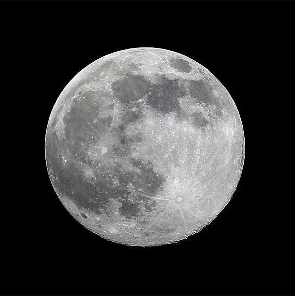 Realistic Moon Earrings