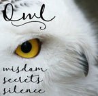 Hoot Owl Stud Earrings