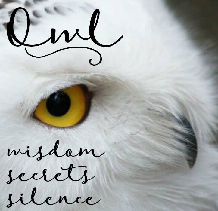 Hoot Owl Stud Earrings