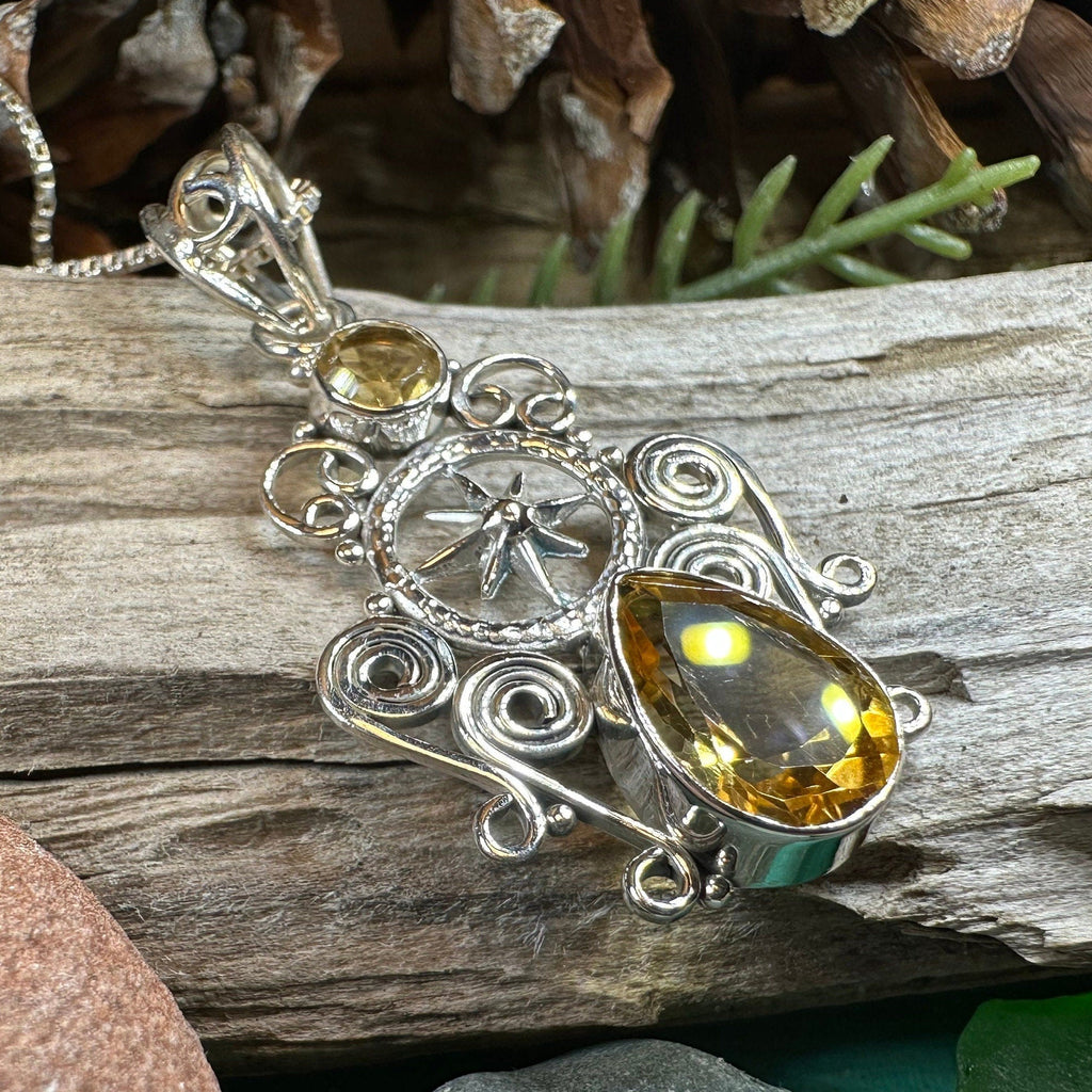 True North Compass Necklace