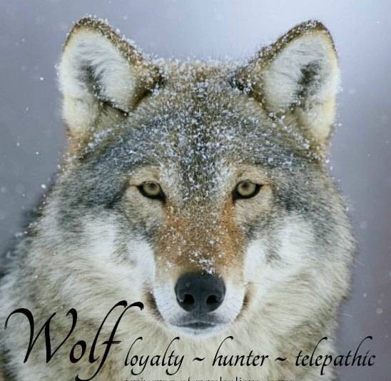 Walden Wolf Necklace