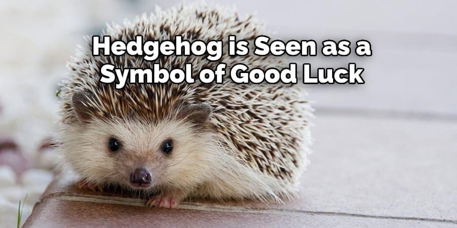 Lucky Hedgehog Brooch