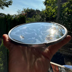 Scottish Thistle Suncatcher