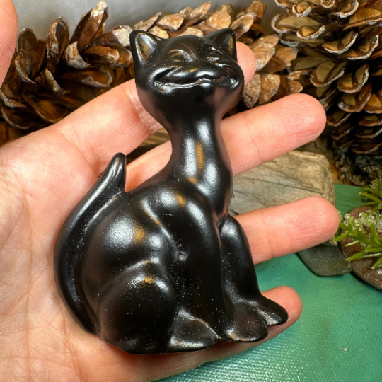 Lucky Turf Cat Gift