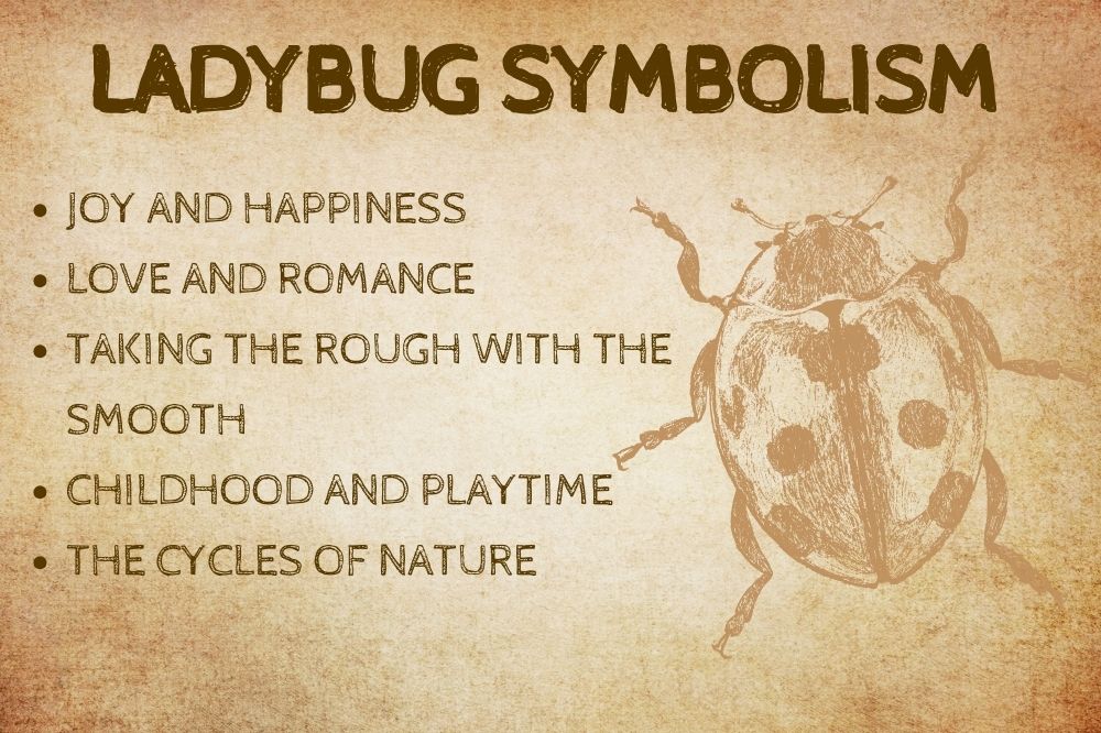Lucky Ladybug Brooch