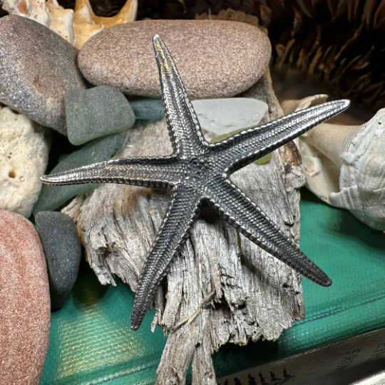 Starfish Brooch
