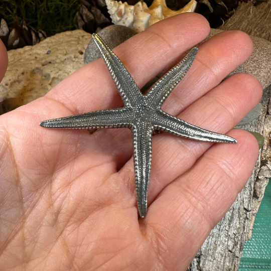 Starfish Brooch