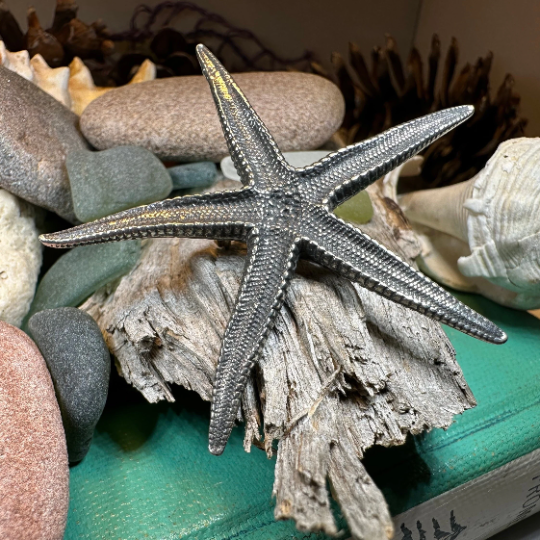 Starfish Brooch