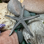 Starfish Brooch